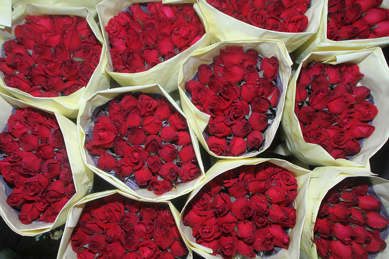 Saint Valentin thailande roses